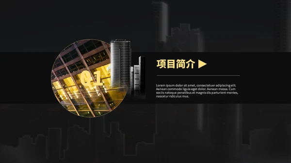 高端大气金色商务项目介绍通用PPT模板
