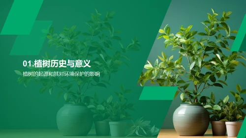 家庭植树，环保亲情双赢