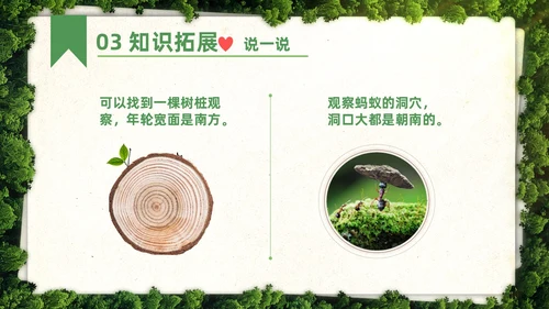 绿色简约实拍要是你在野外迷了路二年级语文下册说课PPT课件小学语文二年级下册课件