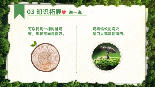 绿色简约实拍要是你在野外迷了路二年级语文下册说课PPT课件小学语文二年级下册课件