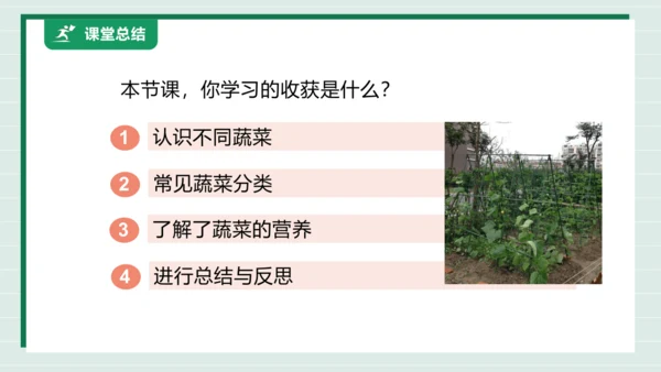 【核心素养目标】主题四 活动一《会爬的蔬菜》课件-【东北师大版】《劳动实践》二上