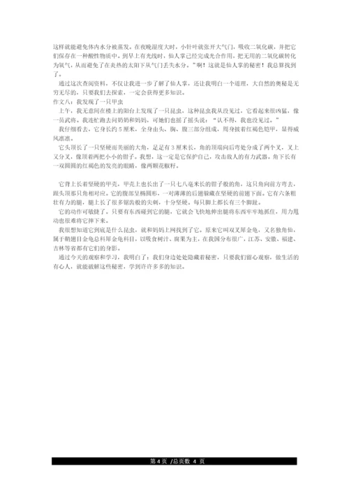 我发现了什么作文600字8篇.docx