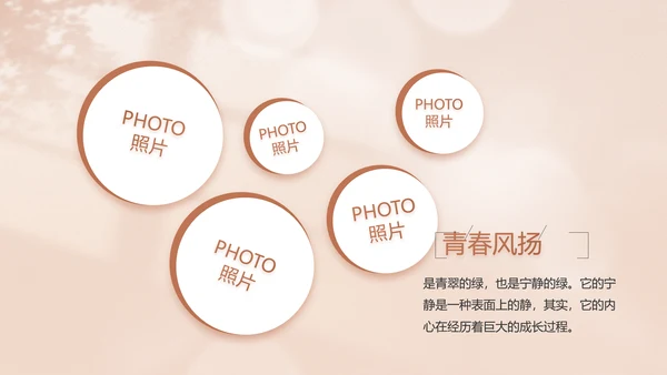 致青春毕业季青春毕业纪念册PPT