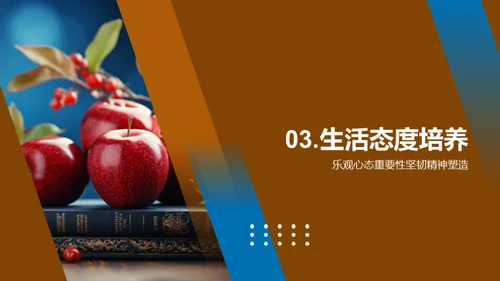 三年级学习之旅