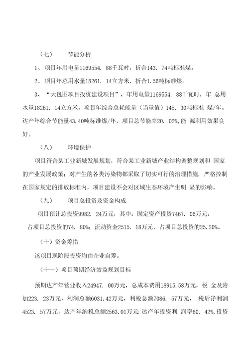 模板大包围项目投资分析计划书参考方案