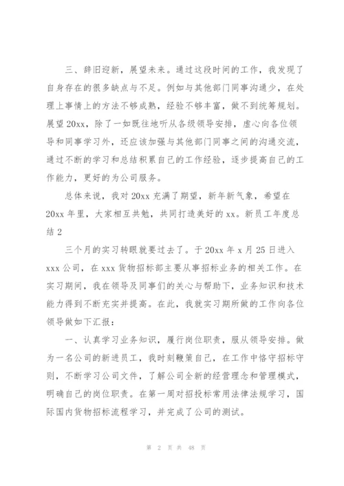 新员工年度总结(15篇).docx