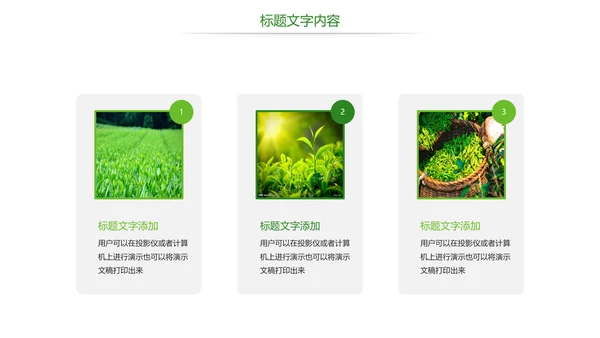 唯美绿色茶园文化茶艺品茶论道PPT模板