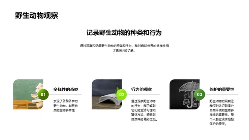 生态漫游：探索与认知