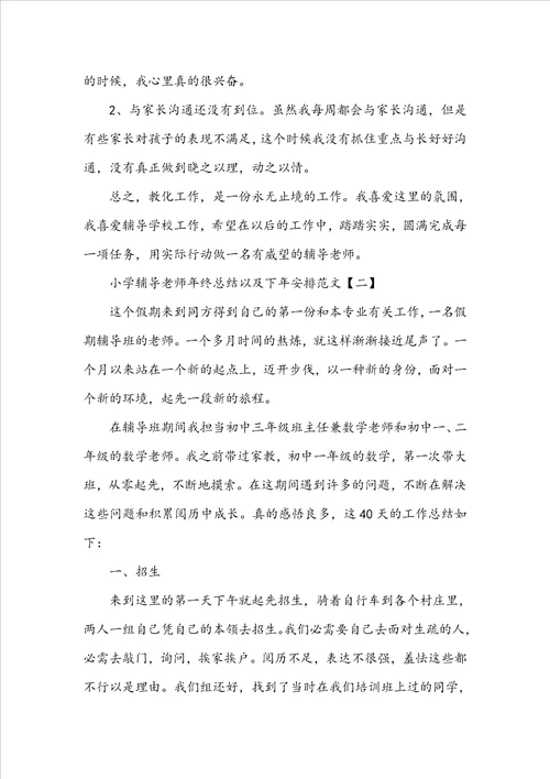 小学辅导教师年终总结以及下年计划范文
