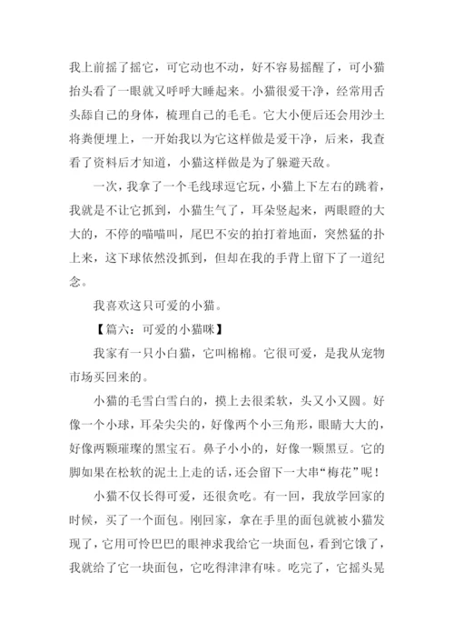 可爱的小猫咪作文400字.docx