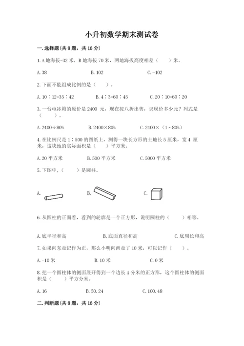 小升初数学期末测试卷（培优）.docx