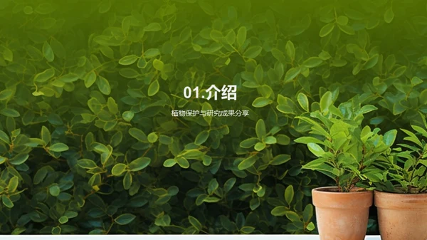 植物保护：解析与实践