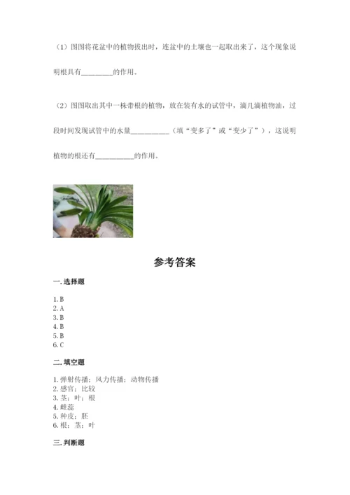 科学四年级下册第一单元植物的生长变化测试卷word.docx