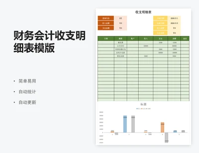 财务会计收支明细表模版