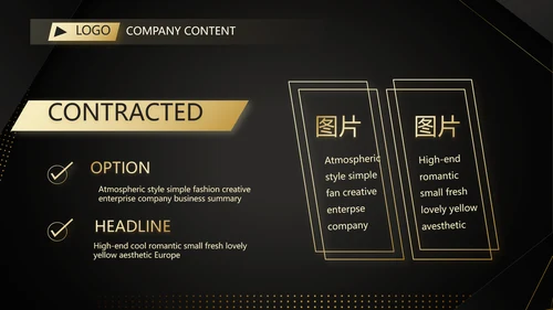 高端尊贵工作汇报计划商务动态PPT