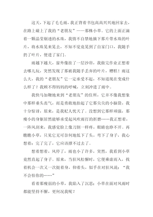 小草的启示作文600字.docx