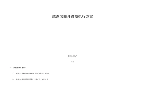 房地产专项项目执行专题方案.docx