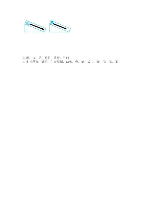 教科版科学三年级下册期末测试卷加精品答案.docx