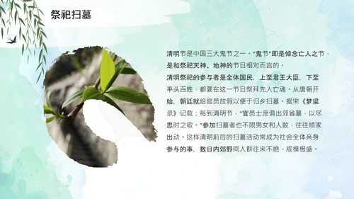 清明节起源习俗文化介绍通用PPT模板