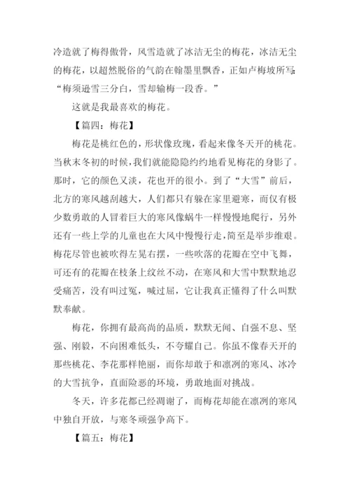 描写梅花的作文100字.docx