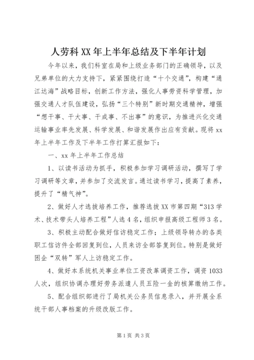 人劳科某年上半年总结及下半年计划.docx