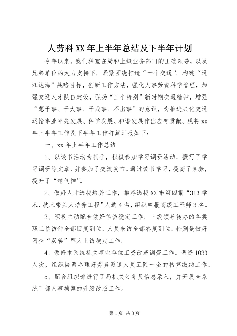 人劳科某年上半年总结及下半年计划.docx