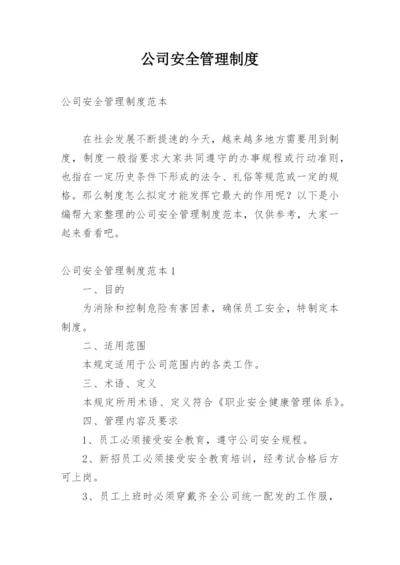 公司安全管理制度_1.docx