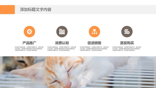 简约风宠物店商业计划书爱宠猫咪PPT模板