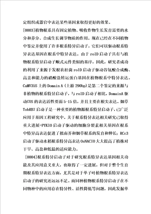 水稻根系特异表达启动子发掘及其应用的制作方法