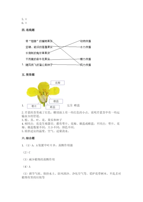 教科版四年级下册科学第一单元《植物的生长变化》测试卷精编.docx