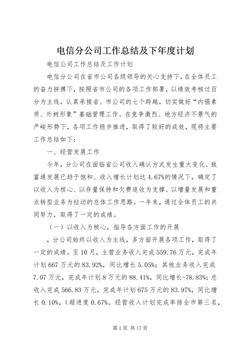 电信分公司工作总结及下年度计划 (2).docx