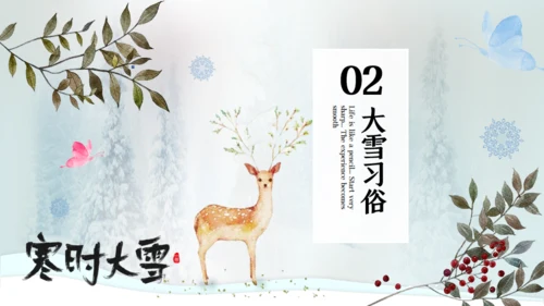 寒时大雪时节通用PPT模板
