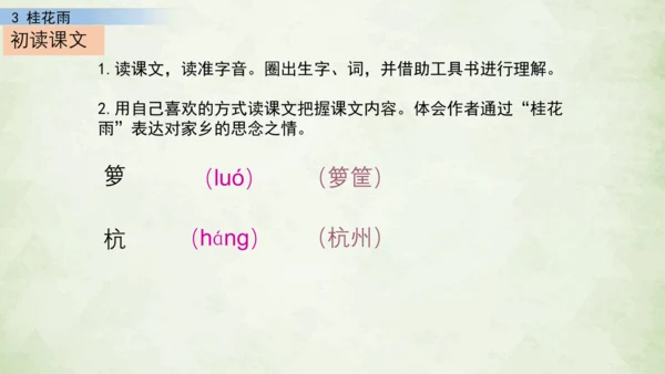 3 桂花雨     课件