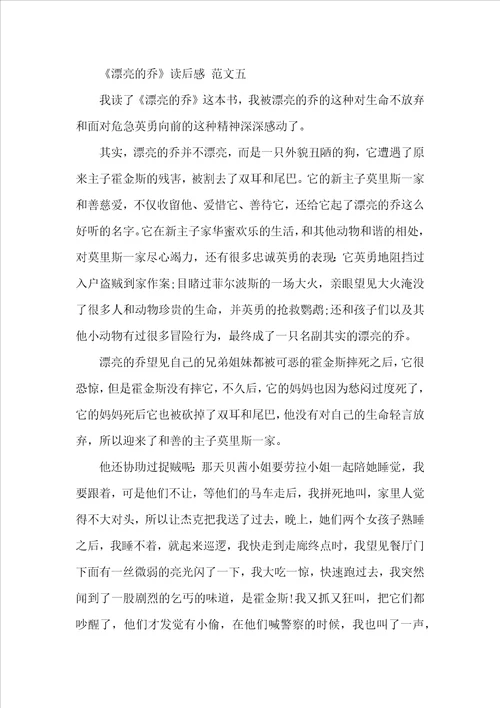 美丽的乔读后感美丽的乔读后感范文600字