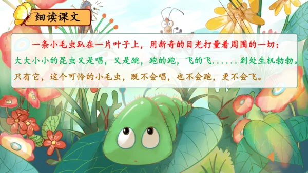 22《小毛虫》课件