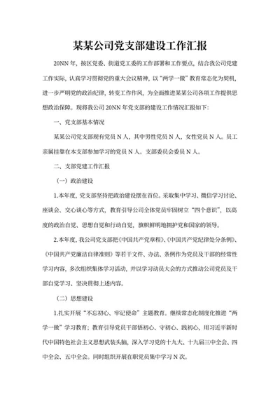 公司党支部建设工作汇报word模板
