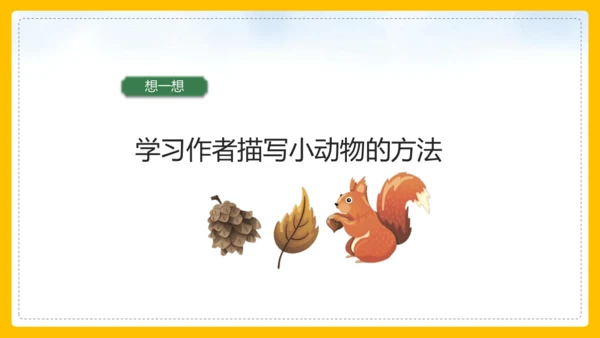 第17课《松鼠》课件