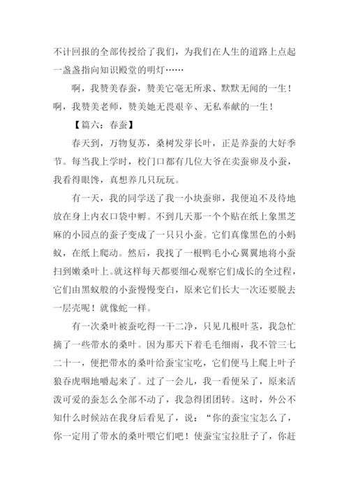 三年级春蚕作文.docx