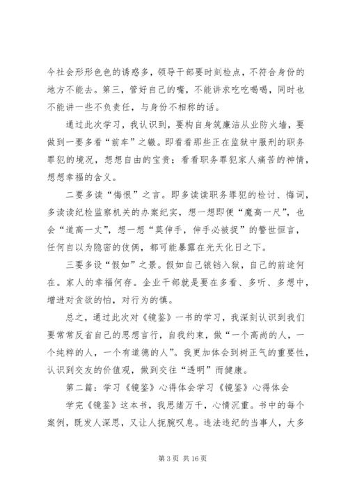 镜鉴学习心得体会1_1.docx