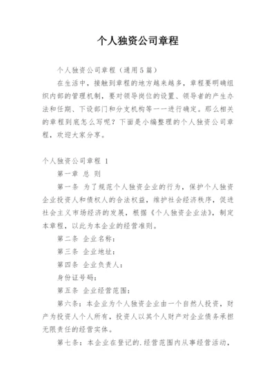 个人独资公司章程.docx