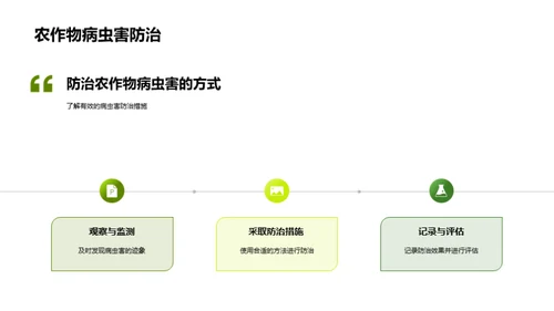 小满节气农事解析