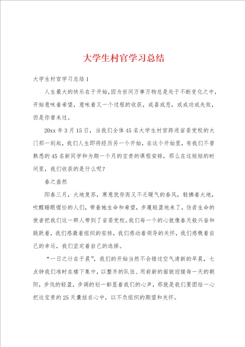 大学生村官学习总结