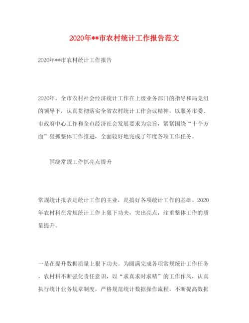 精编年市农村统计工作报告范文.docx
