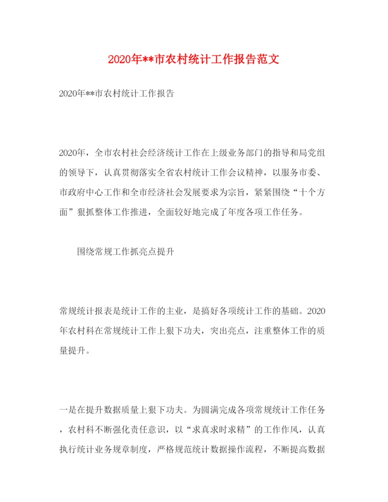精编年市农村统计工作报告范文.docx