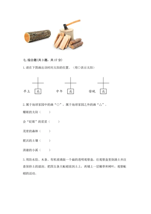 教科版科学二年级上册《期末测试卷》（重点班）.docx