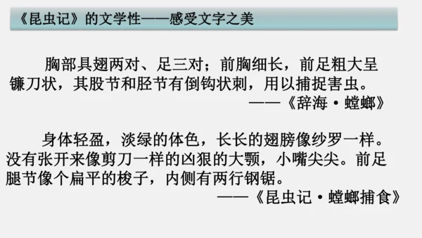 八年级上册语文第五单元 名著导读 《昆虫记》 课件