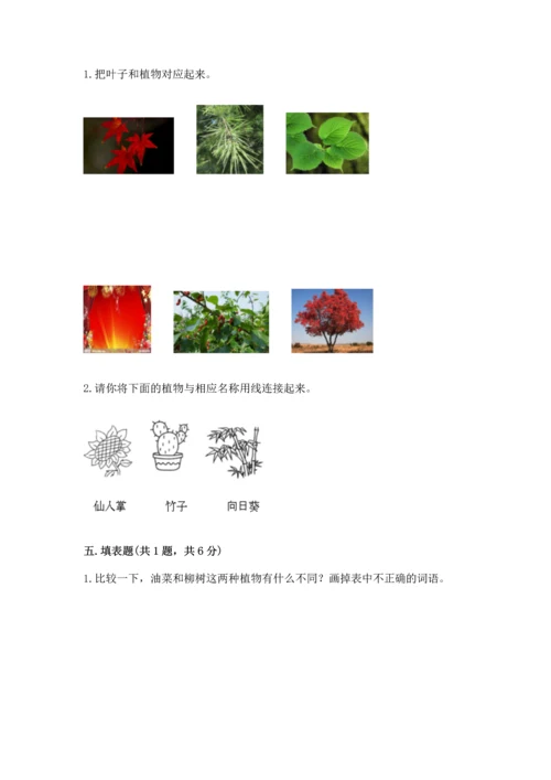 教科版科学一年级上册第一单元《植物》测试卷含答案【研优卷】.docx