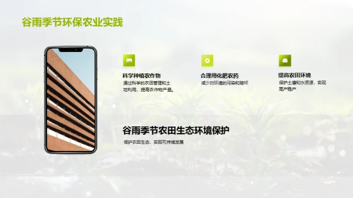 实践谷雨环保农业