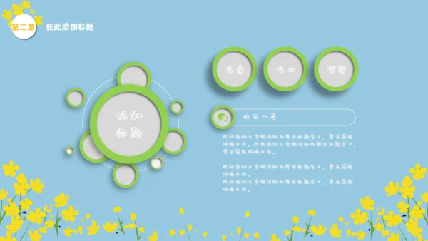 我们一起看油菜花幼儿教育通用PPT课件