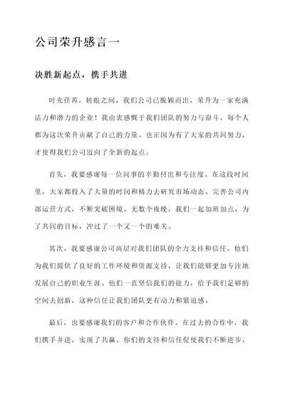 公司荣升感言